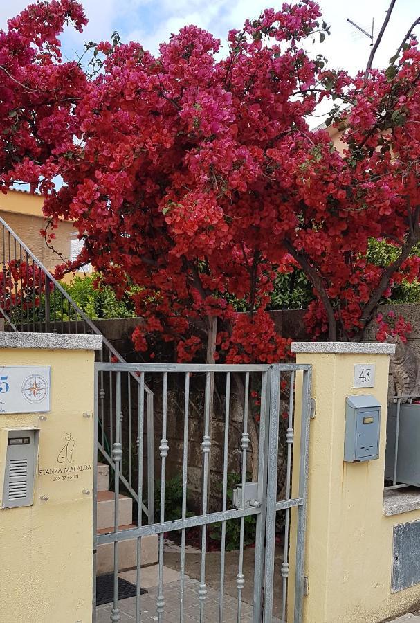 Stanza Mafalda Bed & Breakfast Olbia